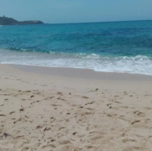 Nathan House Pistis *